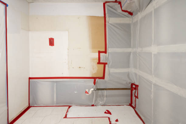 Best Residential Mold Inspection & Testing  in Cape Girardeau, MO