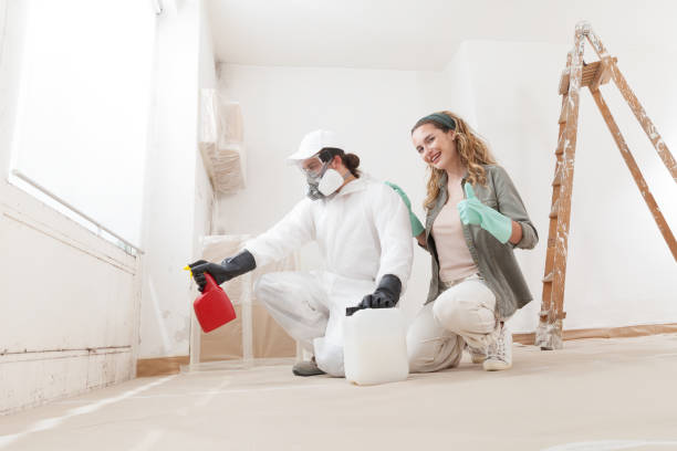 Best Industrial Mold Remediation  in Cape Girardeau, MO